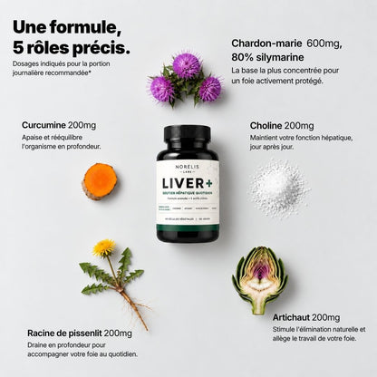 LIVER+ - Votre foie soutenu au quotidien