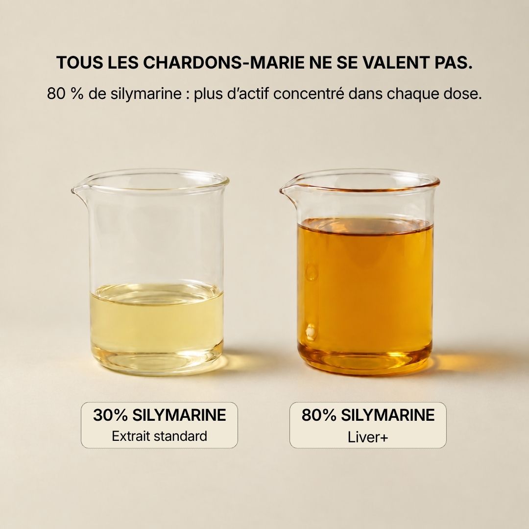 LIVER+ - Votre foie soutenu au quotidien